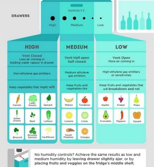 Organize your fridge to save energy and conserve better | Seven Frigo